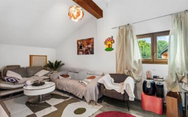 Bauernhaus 9.5 Zimmer - image - 3