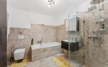 Single house 9 rooms - image - 12