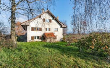 Doppeleinfamilienhaus 7.5 Zimmer - image - 3