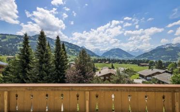 Chalet 6 Zimmer - image - 1