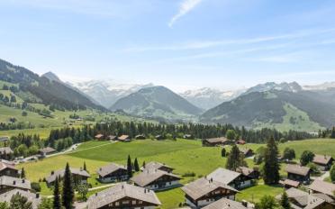 Chalet 6 Zimmer - image - 3