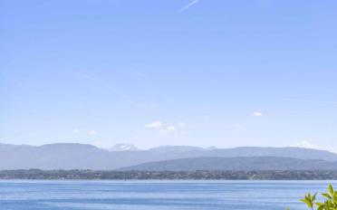 Villa 10 Zimmer - image - 3