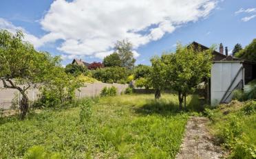 Einfamilienhaus 8.5 Zimmer - image - 3