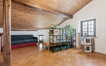 Einfamilienhaus 6.5 Zimmer - image - 11