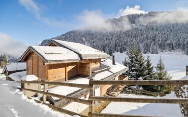 Chalet 5.5 rooms - image - 3