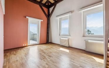 Attic flat 1 room - image - 4