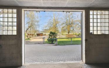 Einfamilienhaus 10.5 Zimmer - image - 9