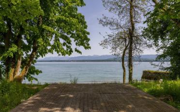 Single house 12.5 rooms - image - 10
