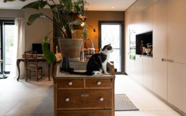 Maison 7.5 pièces - image - 6