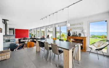 Single house 11 rooms - image - 6