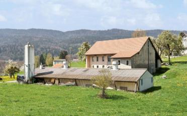 Farm house 7 rooms - image - 2