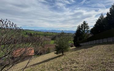 Bauland - image - 6