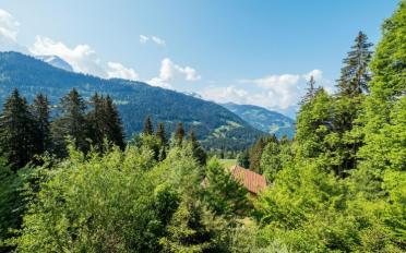 Chalet 6 pièces - image - 7