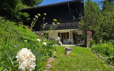 Chalet 6 Zimmer - image - 3