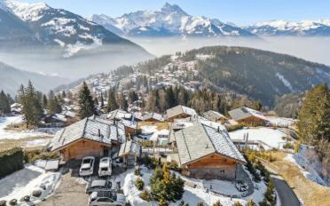 Chalet 9 rooms - image - 3