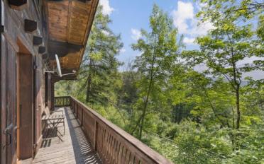 Chalet 6.5 rooms - image - 2