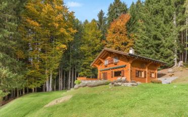 Chalet 4.5 rooms - image - 1