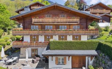 Chalet 15 rooms - image - 1