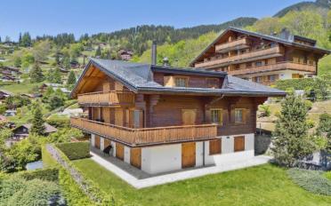 Chalet 15 rooms - image - 2