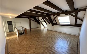 Duplex 5.5 pièces - image - 3