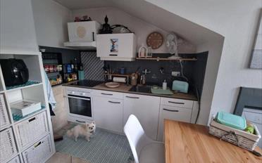 Immeuble mixte - image - 6