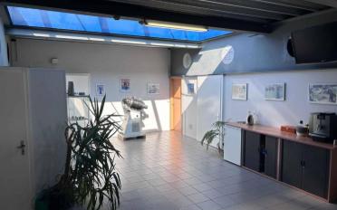 Gewerbe - image - 11