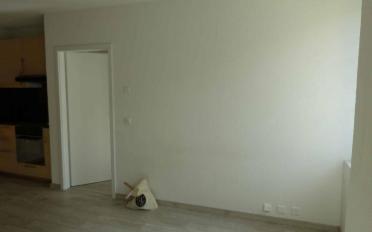 Appartement 2 pièces - image - 5