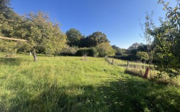Building land - image - 3