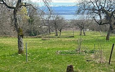 Building land - image - 4