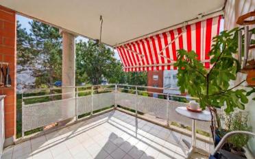 Wohnung 5 Zimmer - image - 2