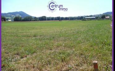 Building land - image - 1