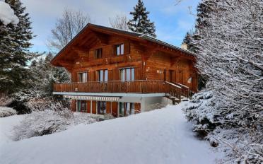Chalet 6.5 pièces - image - 1
