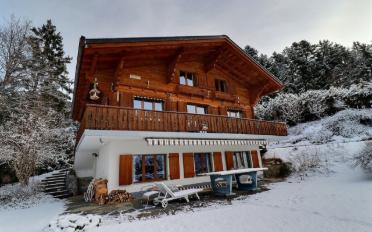 Chalet 6.5 pièces - image - 2