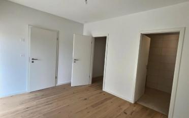 Appartement 4.5 pièces - image - 9