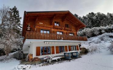 Chalet 6.5 pièces - image - 2