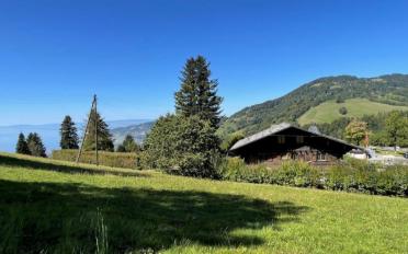 Chalet 5.5 Zimmer - image - 1