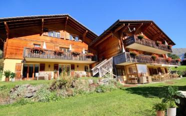 Chalet 17 pièces - image - 2