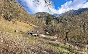 Single house 4 rooms - image - 10