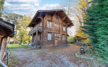 Villa 8 Zimmer - image - 12