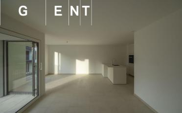 Wohnung 2.5 Zimmer - image - 5