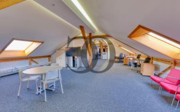 Commercial 7 rooms - image - 2