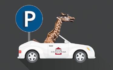 Place couverte - image - 2