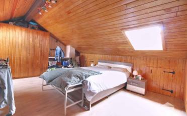 Single house 13 rooms - image - 13