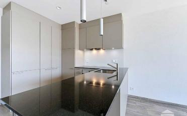 Apartment 2.5 rooms - image - 5