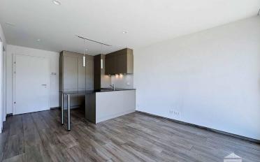 Apartment 2.5 rooms - image - 6