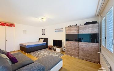 Appartement 1.5 pièces - image - 5