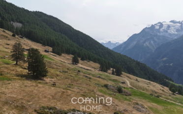 Terrain à bâtir - image - 6
