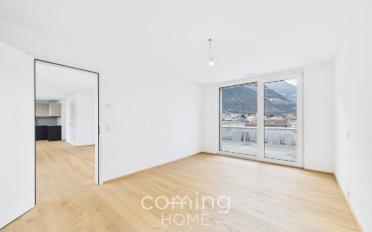 Attic flat 2.5 rooms - image - 6