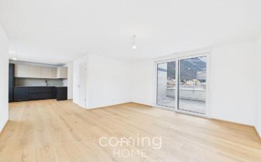 Attic flat 2.5 rooms - image - 1