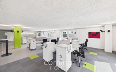 Office 1 room - image - 6